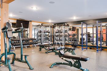 a gym with cardio equipment and weights on the floor
